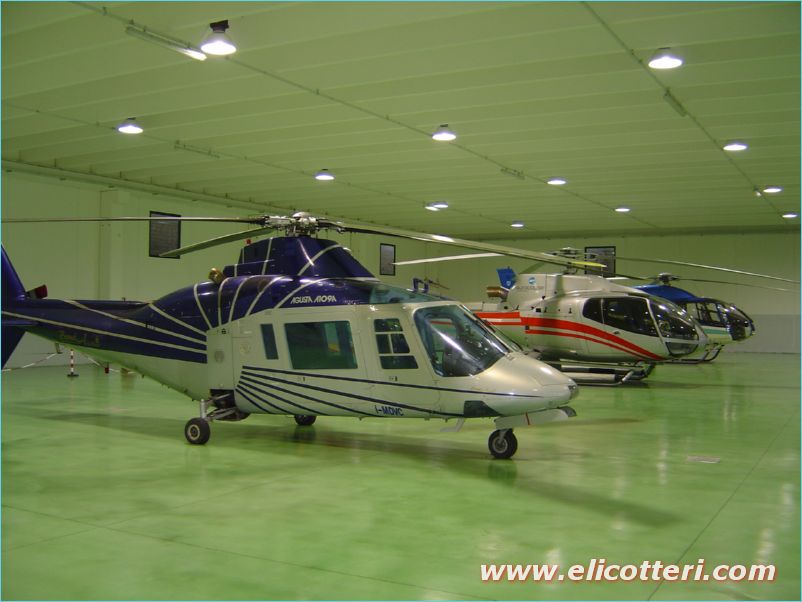 elifoto (13)